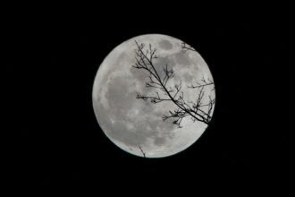 Asteroide que gerou pânico pode colidir com a Lua em 2032